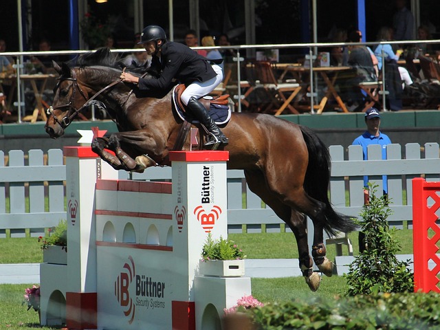 通过分析活 通过分析活