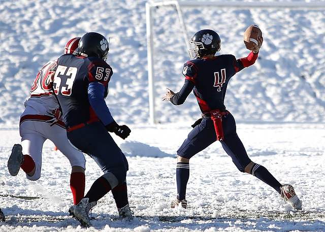 球队的成绩